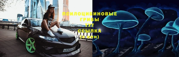спиды Дмитровск