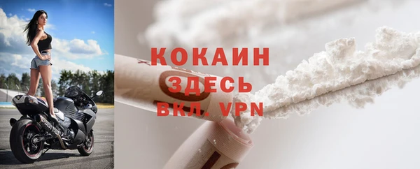 кокс Дмитриев