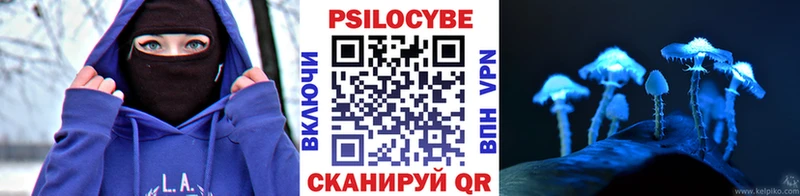 Купить где  Советская Гавань  Галлюциногенные грибы MAGIC MUSHROOMS 